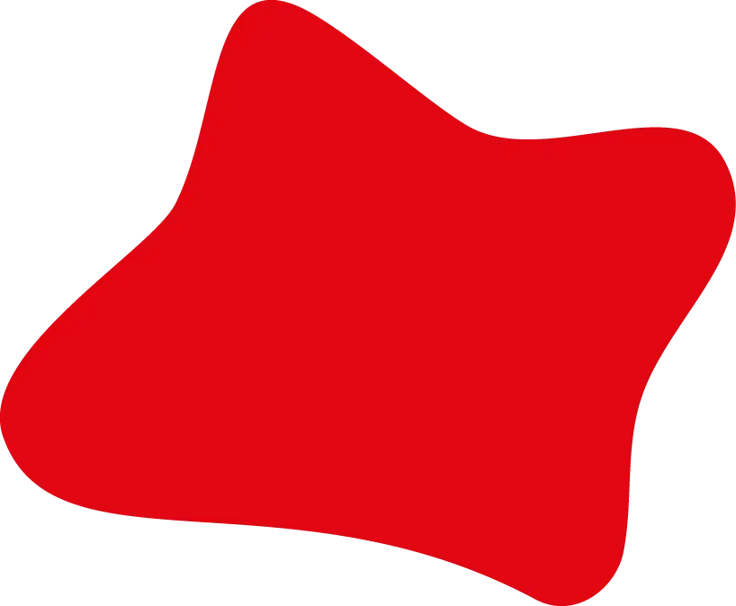 Icono